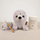 Star of the Sea Seal Amigurumi Crochet Pattern | Digital PDF Download